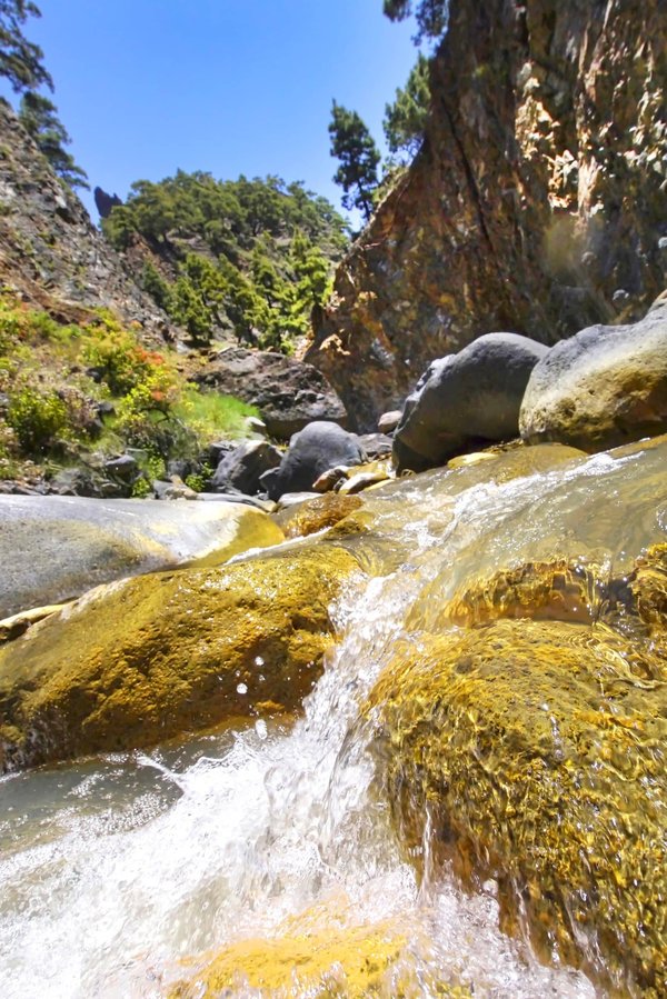 Les soutiens-gorge essentiels pour porter une robe dos nu avec élégance