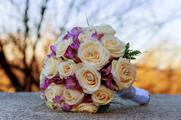 Quelles sont les précieuses informations à connaître sur la rose éternelle ?