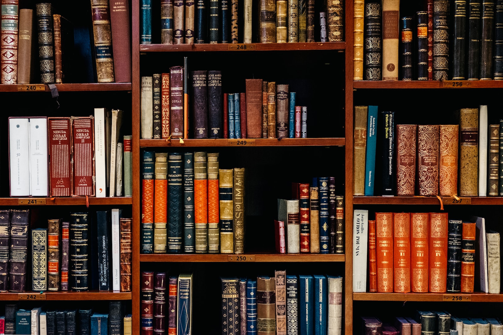 Meilleures ressources éducatives : Guide complet sur le projet UNESCO-AFD, REL et catalogue ADEME assorted-title of books piled in the shelves